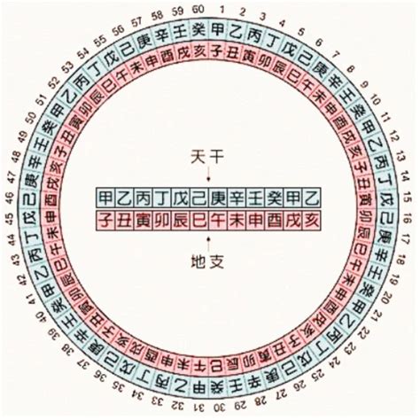 查天干地支|干支对照表